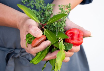 Bush Food Cooking Hamper Delivered & Online Class