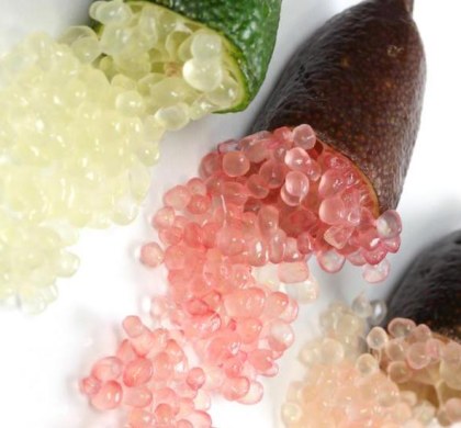 Going Native Cooking Class Online