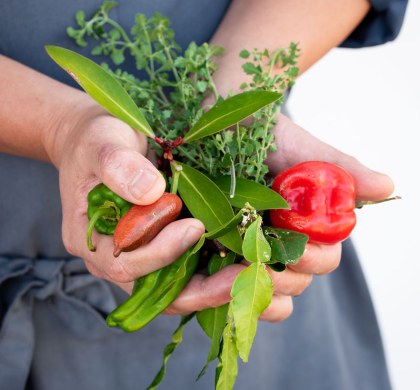 Foodies Hamper | Bushfood Cooking Class Online