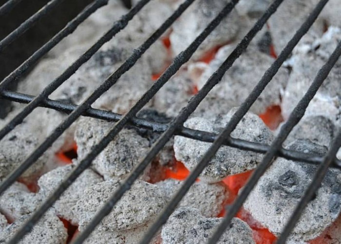 Gas vs Charcoal: Mastering the Art of BBQ Grilling
