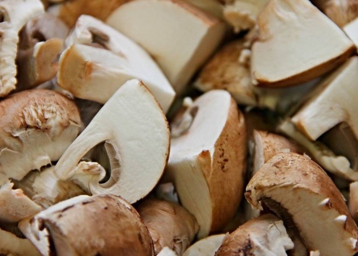 Sources Of Umami