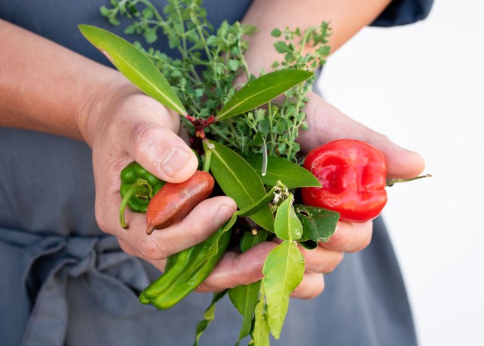 Cooking for Special Diets: A Comprehensive Guide