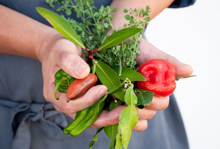 Bush Food Cooking Hamper Delivered & Online Class
